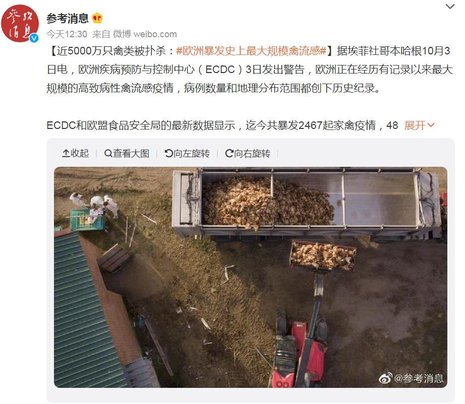 關(guān)注！歐洲暴發(fā)史上最大規(guī)模禽流感，波及37個(gè)國(guó)家！近5000萬(wàn)只禽類(lèi)被撲殺，蛋價(jià)會(huì)上漲么？
